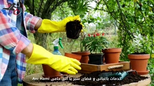 خدمات باغبانی و فضای سبز در محل و منزل با آنی حامی Ani Hami