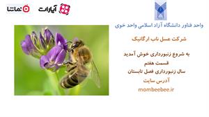 آموزش زنبورداری به زبان ساده - قسمت هفتم - تابستان