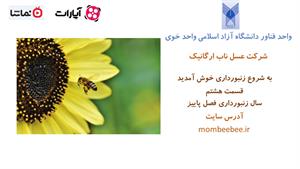 آموزش زنبورداری به زبان ساده - قسمت هشتم - پاییز