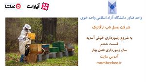 آموزش زنبورداری به زبان ساده - قسمت ششم- سال زنبورداری: بهار