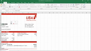 GUINEA UBA BANK STATEMENT TEMPLATE IN EXCEL AND PDF FORMAT