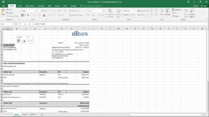 FRANCE CITIBANK BANK STATEMENT TEMPLATE IN .XLS AND .PDF FIL