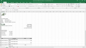 TURKMENISTAN HALKBANK BANK STATEMENT, EXCEL AND PDF TEMPLATE
