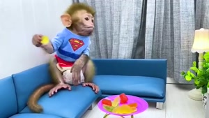 کارتون دیدنی میمون  کوچولو