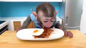 کارتون خارجی میمون کوچولو