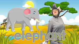 Abc (Animal)