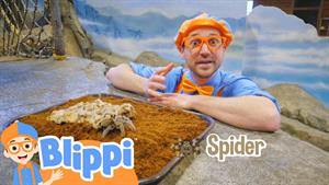 کارتون بلیپی - Blippi در باغ وحش