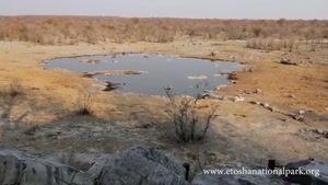 پارک ملی اتوشا - کشور نامیبیا