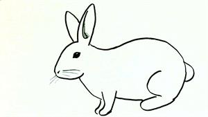 آموزش نقاشی کودکان / نقاشی خرگوش نوروز 1402