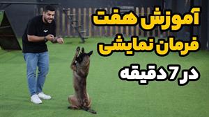 آموزش 7 فرمان نمایشی به سگ در 7 دقیقه