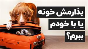  موقع مسافرت رفتن با حیوان خانگی چه کنیم؟🐱🐶🐦