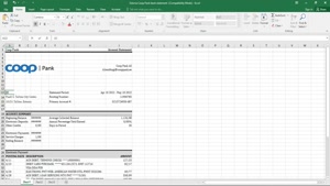 ESTONIA COOP PANK BANK STATEMENT EXCEL AND PDF TEMPLATE