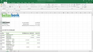 BELIZE BANK STATEMENT TEMPLATE IN EXCEL AND PDF FORMAT
