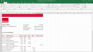 NORWAY BN BANK STATEMENT EXCEL AND PDF TEMPLATE