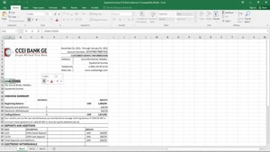 EQUATORIAL GUINEA CCEI BANK STATEMENT EXCEL AND PDF TEMPLATE