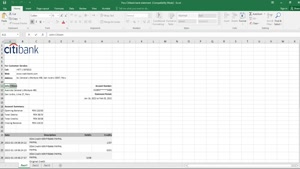 PERU CITIBANK BANK STATEMENT EXCEL AND PDF TEMPLATE