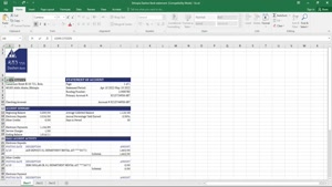 ETHIOPIA DASHEN BANK STATEMENT EXCEL AND PDF TEMPLATE