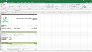 MAURITANIA CHINGUITTY BANK STATEMENT EXCEL AND PDF TEMPLATE