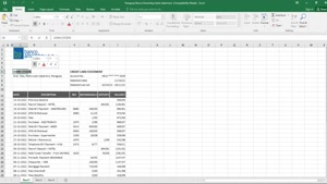 PARAGUAY BANCO AMAMBAY BANK STATEMENT EXCEL AND PDF TEMPLATE