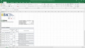 SAN MARINO BANCA AGRICOLE COMMERCIALE BANK STATEMENT, EXCEL 