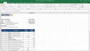 NIGERIA ACCESS BANK STATEMENT EXCEL AND PDF TEMPLATE