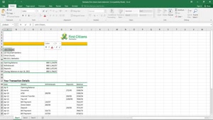 BARBADOS FIRST CITIZENS BANK STATEMENT TEMPLATE IN EXCEL AND