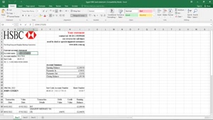 EGYPT HSBC BANK STATEMENT EXCEL AND PDF TEMPLATE