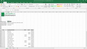 JORDAN CAIRO AMMAN BANK STATEMENT EXCEL AND PDF TEMPLATE