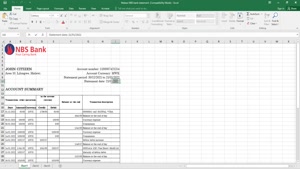 MALAWI NBS BANK STATEMENT EXCEL AND PDF TEMPLATE