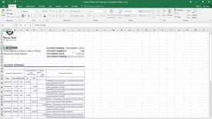 PAKISTAN MEEZAN BANK STATEMENT EXCEL AND PDF TEMPLATE