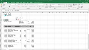 NAURU EAGLE BANK STATEMENT EXCEL AND PDF TEMPLATE