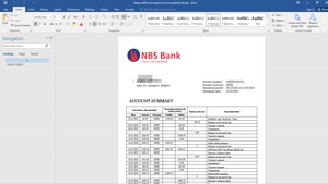 FAKE MALAWI NBS BANK STATEMENT TEMPLATE 