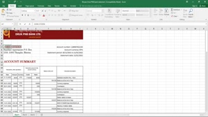 BHUTAN DRUK PNB BANK STATEMENT TEMPLATE IN EXCEL AND PDF FOR