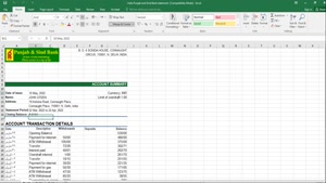 INDIA PUNJAB AND SIND BANK STATEMENT EXCEL AND PDF TEMPLATE