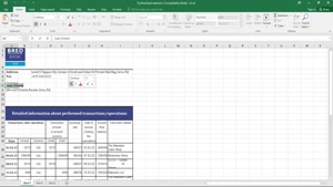 FIJI BRED BANK STATEMENT EXCEL AND PDF TEMPLATE