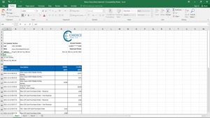 BELIZE CHOICE BANK STATEMENT TEMPLATE IN EXCEL AND PDF