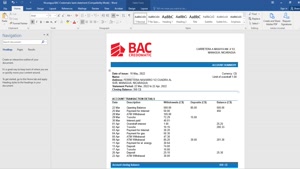 FAKE NICARAGUA BAC CREDOMATIC BANK STATEMENT TEMPLATE 