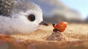 انیمیشن ماجراجویی پرنده زیبا و کنجکاو