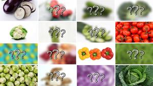 رژیم غذایی / 16 بهترین سبزیجات کم کربوهیدرات