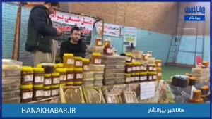 نمایشگاه عسل طبیعی - شهرستان پیرانشهر - نازنین نای بین