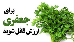 خواص باورنکردنی جعفری را بشناسید