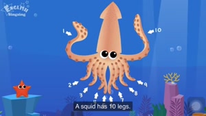 Sea animals vocabularies 
