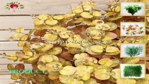 تولید بوته گل اکالیپتوس سبز و طلایی رنگ مصنوعی | فروشگاه ملی