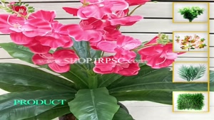 تولید شاخه گل آمالیس صورتی پر رنگ مصنوعی | فروشگاه ملی