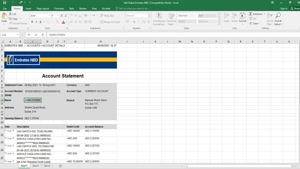 FAKE UAE ABU DHABI NBD BANK STATEMENT EASY TO FILL TEMPLATE 
