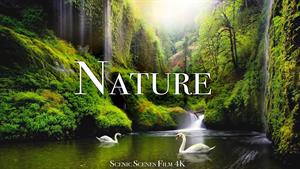 صداهای طبیعت | فیلم آرامش بینظیر منظره