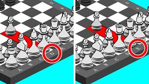 نحوه بازی شطرنج /  راهنمای کامل برای مبتدیان