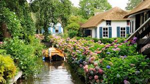 طبیعت کشور هلند 