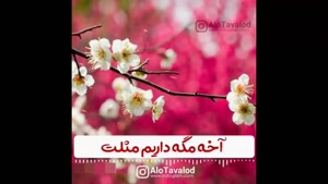 کلیپ جدید تولد ۱۹ اردیبهشت برای استوری