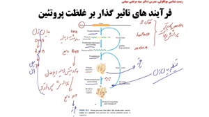 تنظیم بیان ژن پروکاریوتی جلسه اول